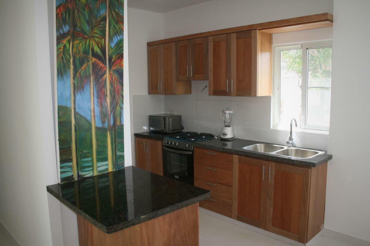 Villa Deluxe Costambar Пуэрто-Плата Экстерьер фото